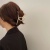 Korean Internet Celebrity Ins Large Pearl Hair Clip Jaw Clip Hair Clip Back Head Shark Clip Japanese Style Side Clip 