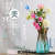 Factory Wholesale European Style Simple Glass Vase Home Office Decoration Hydroponic Vase Large Ornaments Multicolor