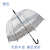 Factory Direct Supply New Poe Transparent Machine Printing Ins Style Straight Umbrella Adult Umbrella Apollo Umbrella