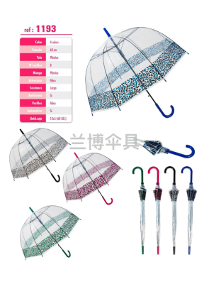 Factory Direct Supply New Poe Transparent Machine Printing Ins Style Straight Umbrella Adult Umbrella Apollo Umbrella