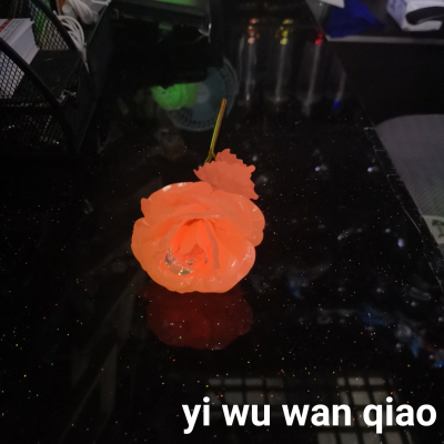 Amazon Cross-Border E-Commerce Simulation Gold-Foil Roses Luminous Flower Valentine's Day Christmas Wedding Rose Gift
