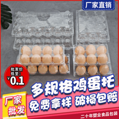 Disposable Egg Packing Box Egg Tray Plastic Thickened Egg Storage Box Blister Shockproof Duck Egg Tray 4 Pieces