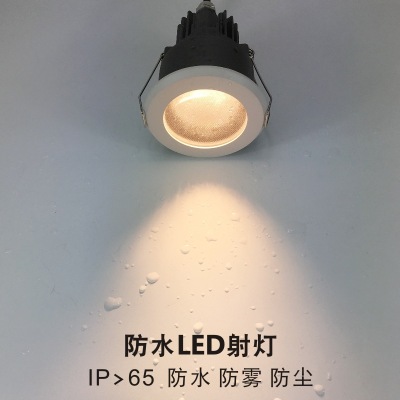 Led Waterproof Spotlight 8W Embedded Bathroom Anti-Fog Downlight IP65 Kitchen Washroom Hotel Shower Room Spotlight