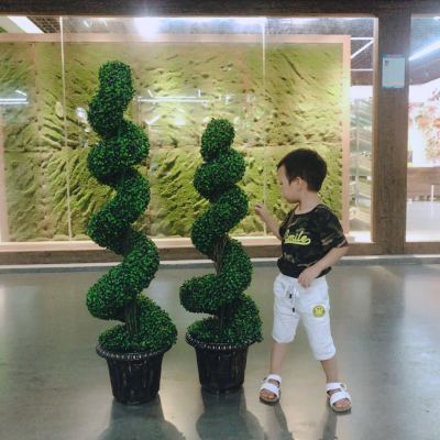 Factory Supply Simulation Plant Shaped Tree Simulation Spiral Tree Ornament Simulation Bonsai Wholesale Support Customization