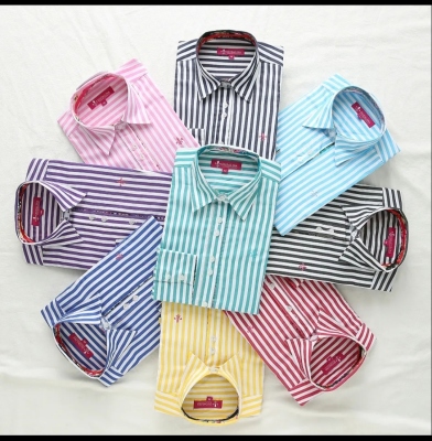 Women's Striped Formal Collar Shirt Business Casual Waist Tight Shirt