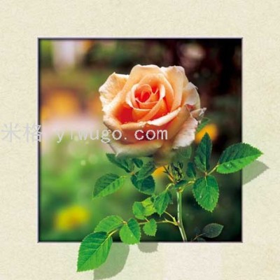 5D Painting Hot Sale 40 * 40cm Three-Dimensional Picture Flowers