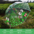 Automatic Environmental Protection Poe Creative Cartoon Animal Pattern Children's Umbrella Sunny Umbrella Straight Umbrella Plastic Umbrella