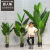 Nordic Style Simulation Plant Bird of Paradise Ravenala Tropical Plant High-Grade Green Plant Bonsai Factory Supply