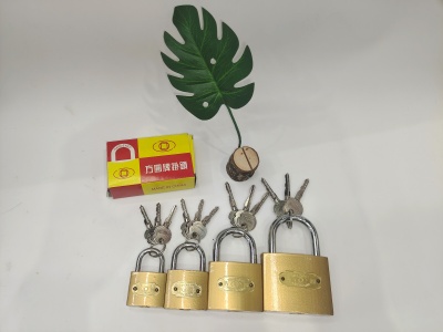 Cross Imitation Copper Lock with Trademark Iron Locks Padlock Mobile Padlock