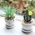 Nordic Simulation Plant Cactus Ornaments Creative Succulent Pot Ins Decorative Greenery Fake Flower Desktop Small Bonsai