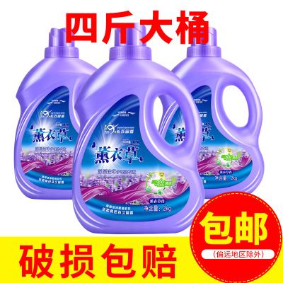 Beishitong Lavender Laundry Detergent Promotion 4 Jin Large Barrel Machine Hand Washing Low-Foam Easy to Float Laundry Detergent