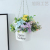 Nordic Style Hanging Basket Flower Pot Paint Flower Pot Flower Bucket