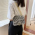 This Year's Popular Bag for Women 2021 New Trendy Fashion Chain Small Square Bag Korean Style Simple Western Style Shoulder Messenger Bag
