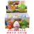 Cross-Border Hot Selling Bubble Water Embryonated Egg Dinosaur Expansion Egg Oversized Bubble Water Deformation Grow up Toy Factory Direct Sales