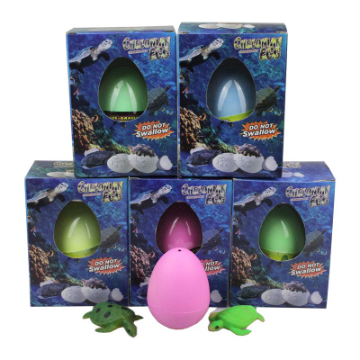 Cross-Border Bubble Water Expansion Dinosaur Egg Boxed Extra Large Turtle Embryonated Egg Rejuvenating Device Stall Bubble Large Expansion Toys