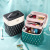 Internet Celebrity Large Capacity Ins Style Cosmetics Storage Box Travel Portable and Versatile Portable Cosmetic Case