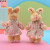 Plush Pendant Children's Toy Pastoral Couple Bunny Doll New Doll Scan Code Gift for Activities