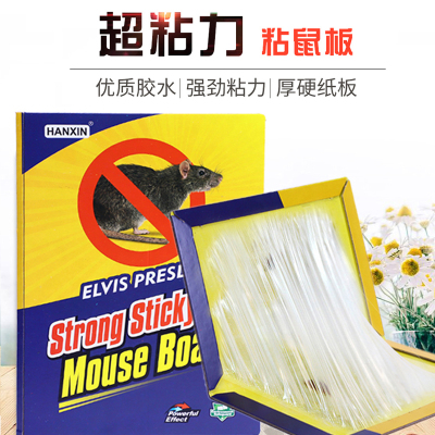 Strong Mouse Sticker Glue Quality 28G