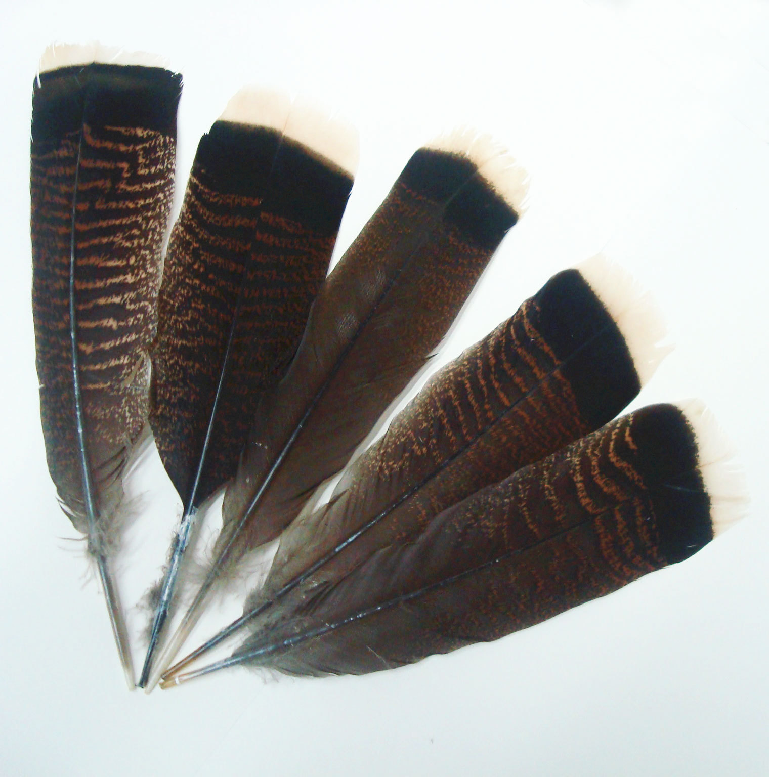 厂家直销羽毛工艺花舞台演出配饰手工DIY饰品鞋帽装饰材料火鸡毛