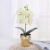 Modern Fashion Feel Butterfly Orchid Dried Flower Simulation Fake Floral Home Living Room Entrance Decorations Ornaments