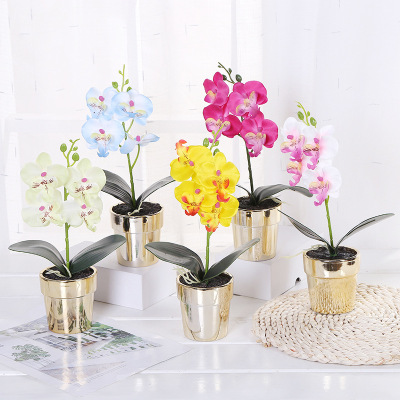 Modern Fashion Feel Butterfly Orchid Dried Flower Simulation Fake Floral Home Living Room Entrance Decorations Ornaments
