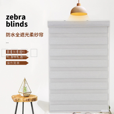 Factory Direct Sales Curtain Non-Perforated Curtains Shading Soft Yarn Curtain Roller Shutter Living Room Roller Shutter Home Textile Curtain Louver Curtain