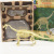 Digging Dinosaur DIY Assembled Skeleton Simulation Dinosaur Toy Model Dinosaur Fossil Archaeology Mining Toys Suit