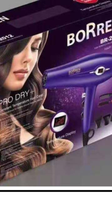 High-End Large Electric Motor Hair Dryer