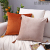 New Netherlands Velvet with Tassel Solid Color Pillow Cushion Sofa Cover