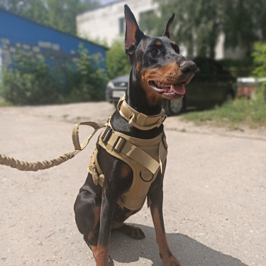 Tactical Dog Clothes Pet Vest Big Dog Clothes Clothes Outdoor Camouflage Dog Vest Nylon Waterproof Chest Back Training Vest K9
