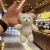 Internet Celebrity Ins Schoolbag Bear Decorative Pendant Cute Plush Doll Keychain Pendant Mini Doll