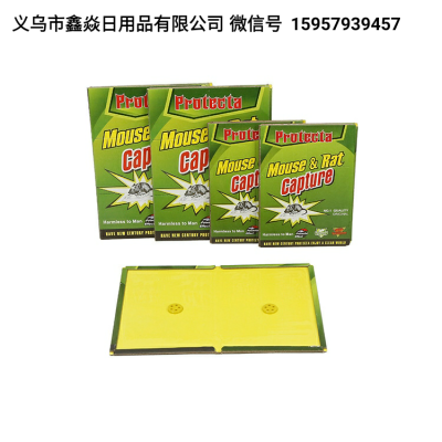 Strong Mouse Sticker 10G Glue Quality