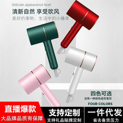 Internet Celebrity Hammer Hair Dryer High Power Household Heating and Cooling Air Hair Dryer Student Dormitory Mute Hair Dryer