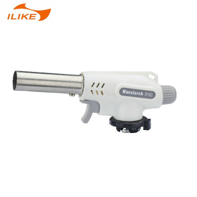 Cassette Gas Flame Gun Portable Baking Sushi Dishes Kitchen Picnic Outdoor Barbecue Flame Gun Ws-510