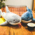 Shark Plush Toy Pillow TikTok Same Shark Birthday Gift Simulation Plush Doll Wholesale