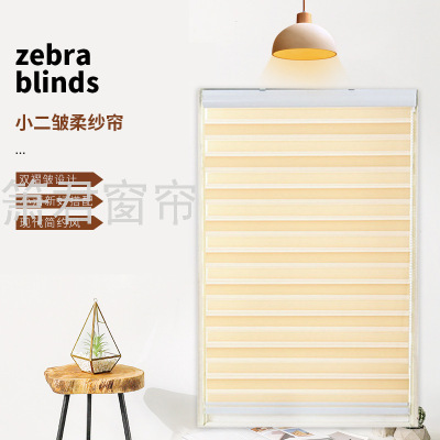 Factory Direct Curtain Shading Curtain Roller Shutter Curtain Louver Curtain Living Room and Kitchen Bedroom Soft Gauze Curtain Curtain