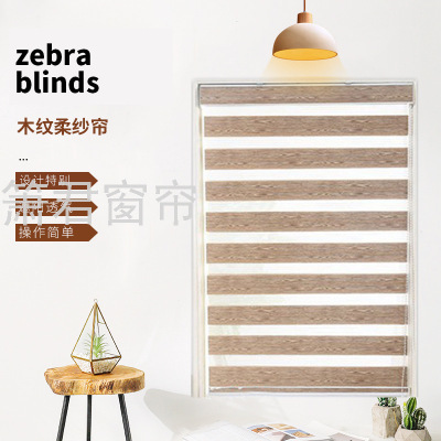 Factory Direct Curtain Korean-Style Electric Shading Curtain Soft Gauze Curtain Office Bathroom Shutter Curtain Blinds