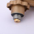 Lower Outlet Gas Cylinder Pressure Reducing Valve Household Explosion-Proof Valve Head Gas Valve Gas Cylinder Accessories F-50 Exclusive for Export