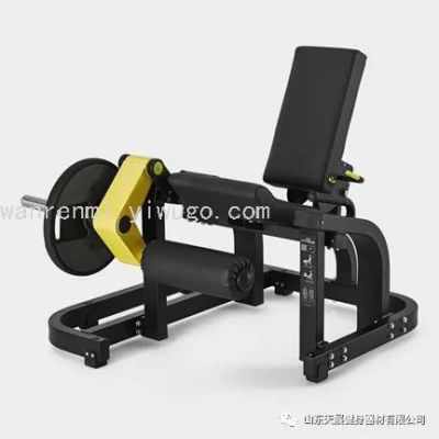 Tianzhan Bumblebee TZ-6077 Professional Machine Sitting Extension Trainer Commercial Fitness Equipment