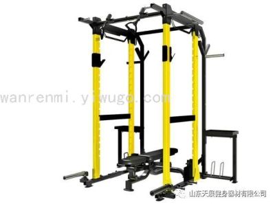 Tianzhan Bumblebee TZ-6073 Professional Machine Deep Squat Trainer Commercial Fitness Equipment