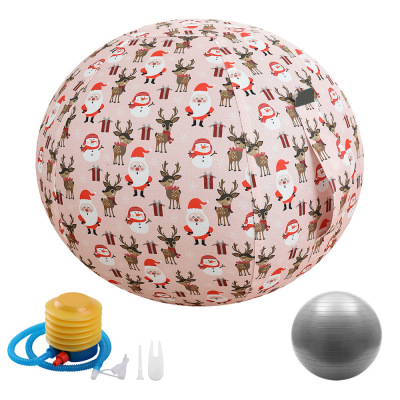 Exclusive for Cross-Border Storage Ball Cover Yoga Ball Protective Cover Air Pump Three-Piece Set Home Sports Equipment Wholesale