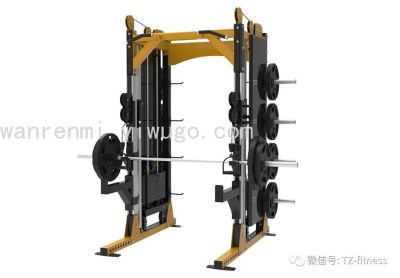 Tianzhan Bumblebee TZ-6080 Professional Machine Small Birds & Squat Comprehensive Trainer Commercial Fitness Equipment