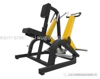 Tianzhan Bumblebee TZ-6064 Professional Machine Dorsal Muscles Extension Trainer Commercial Fitness Equipment