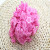 Plum Blossom Rubber Band Hair Ring Hair Rope Korean Style Headdress Exquisite Jewelry Hair Accessories DIY Accessories Children's Hair Rope Children's Hair Accessories