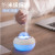 New Cute Pet Humidifier Creative USB Home Mute Humidifier Desktop Office Moisturizing Spray Atomizer