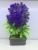 Wholesale Artificial Flower Greenery Bonsai New Plastic Bonsai Living Room Bedroom Desk Decoration Small Ornaments Artificial Flower