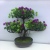 2021 New Artificial Bonsai Potted Green Plastic Flowers Fake Flower Office Living Room Furnishings Hot Sale New with Pots