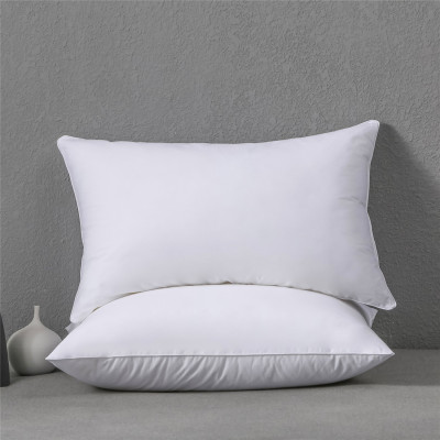Manufacturers Supply Cross-Border E-Commerce Amazon Independent Station Sales  Microfiber Pillow 