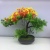 Wholesale Simulation Plant Fake Green Plant Indoor and Outdoor Decoration Plastic Bonsai Miniature Bonsai Emulational Flower and Grass Ornaments