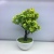 2021 New White Basin Artificial Plant Bonsai simulation flower Indoor Living Room Decoration